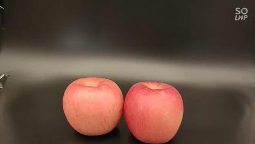 零售易两个装苹果桃子雪梨精品高端水果盒
